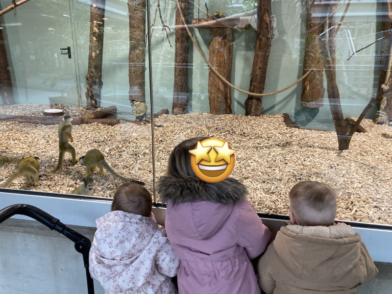 Den Zoo besuchen wir auch! Den Zoo besuchen wir auch!